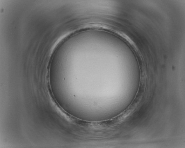 X0000067950799200604272058