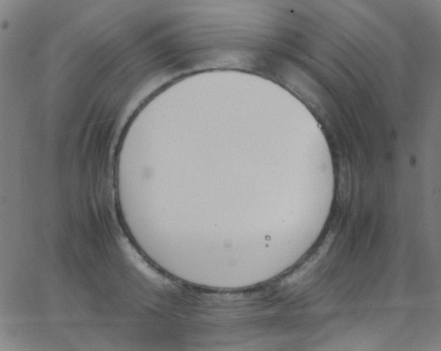 X0000067950800200604272058