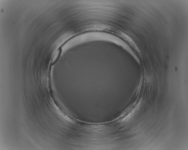 X0000067950802200604272058