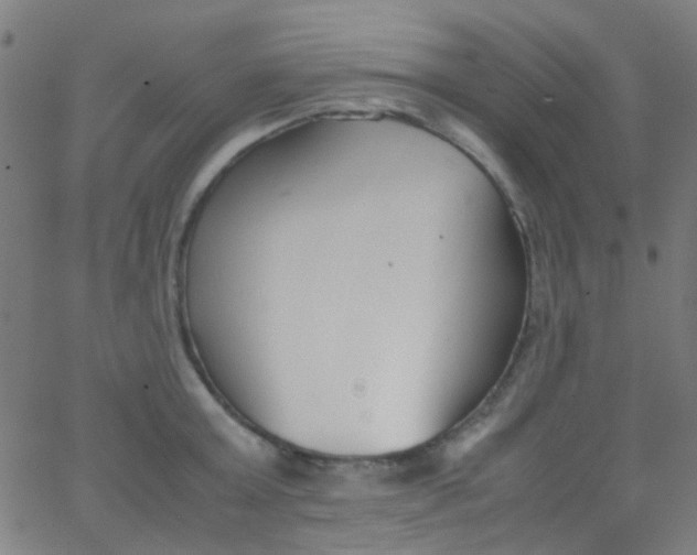 X0000067950803200604272058