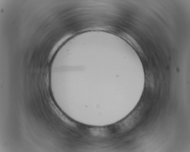 X0000067950804200604272058