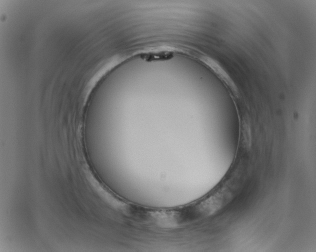 X0000067950805200604272058