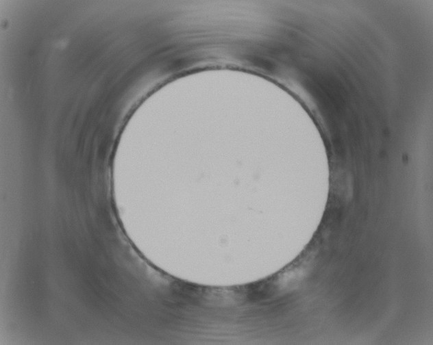 X0000067950807200604272058