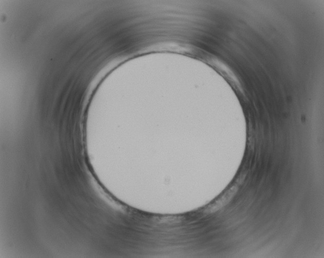 X0000067950808200604272058