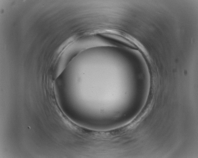 X0000067950809200604272058