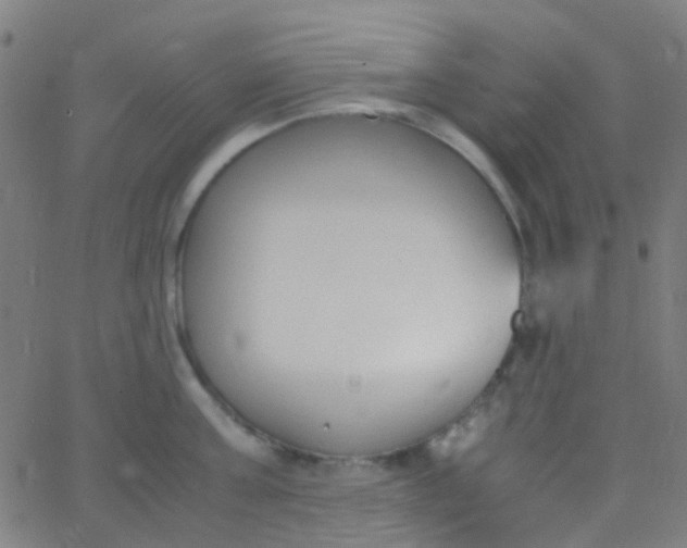 X0000067950811200604272058