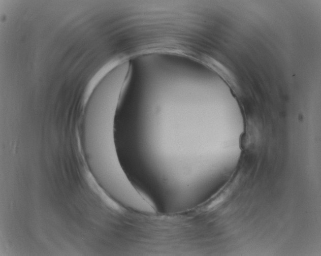 X0000067950812200604272058