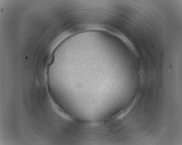 X0000067950814200604272058