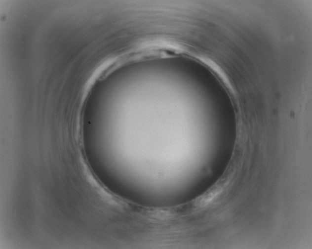 X0000067950815200604272058