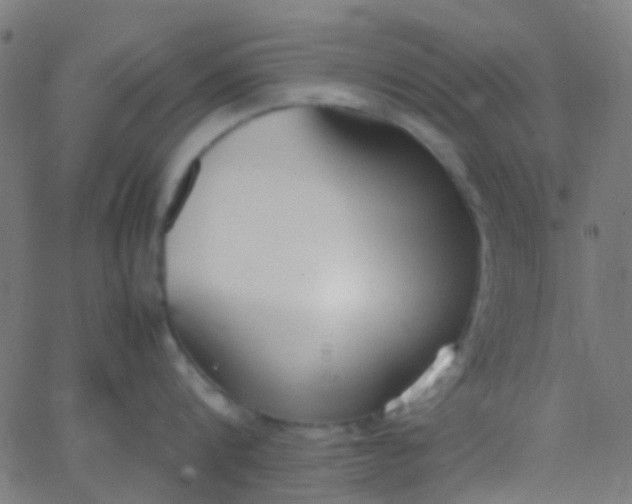 X0000067950816200604272058