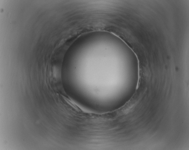 X0000067950818200604272057