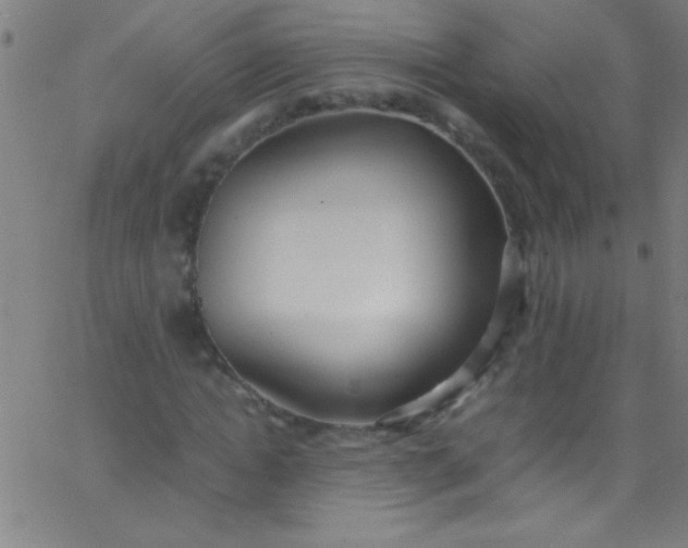 X0000067950822200604272057