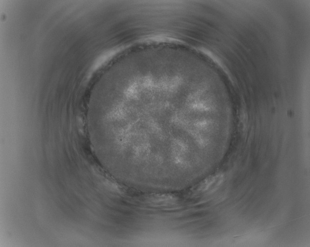 X0000067950823200604272057