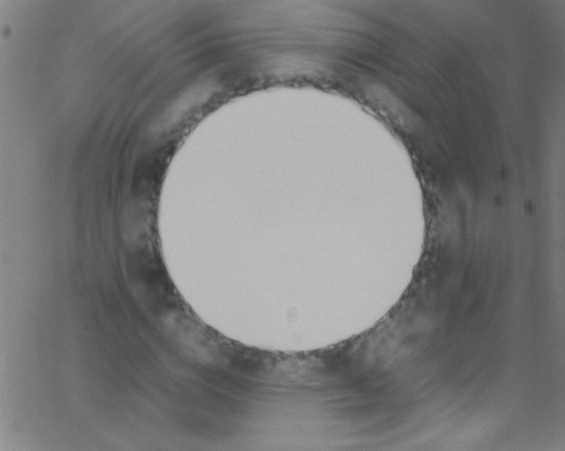 X0000067950824200604272057