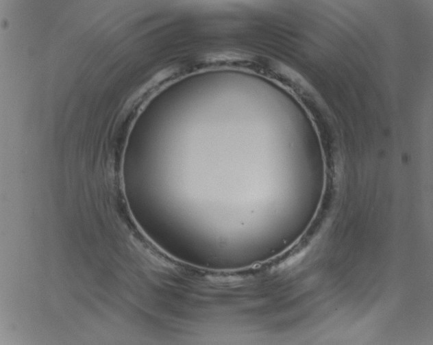 X0000067950825200604272057