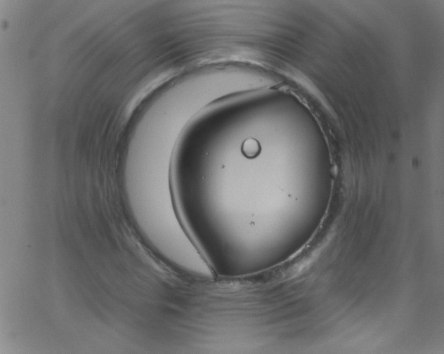 X0000067950826200604272057