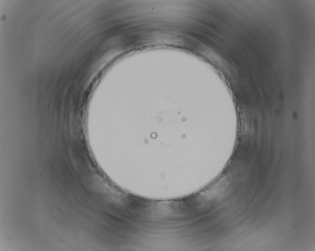 X0000067950828200604272057