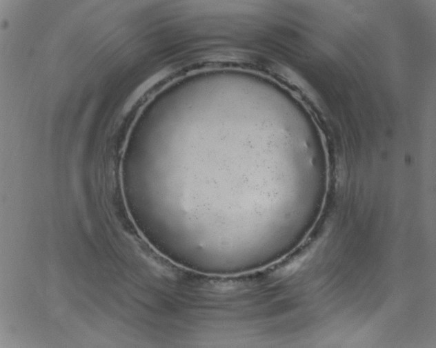 X0000067950829200604272057