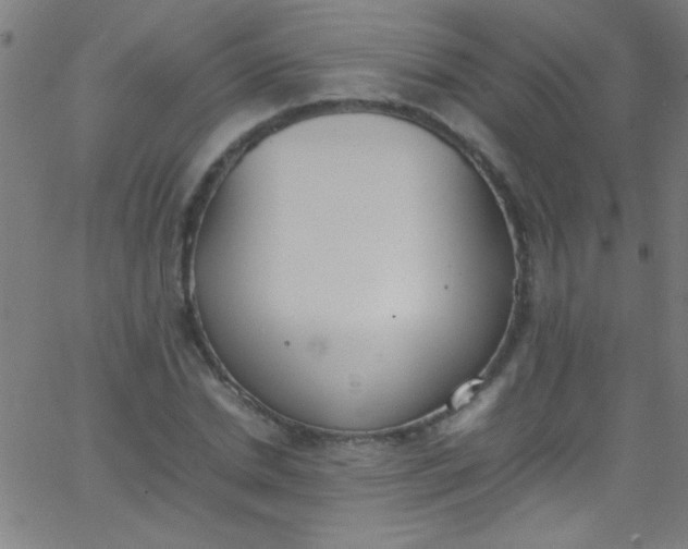 X0000067950830200604272057