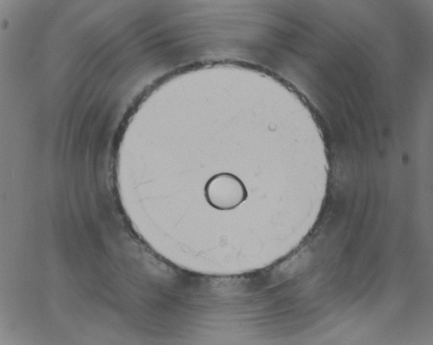 X0000067950832200604272057