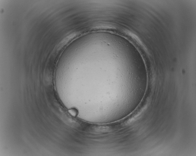 X0000067950833200604272057