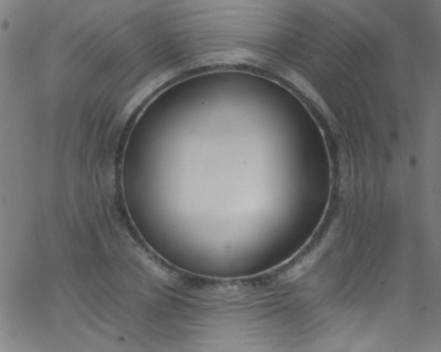 X0000067950834200604272057