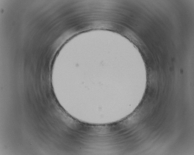 X0000067950836200604272057