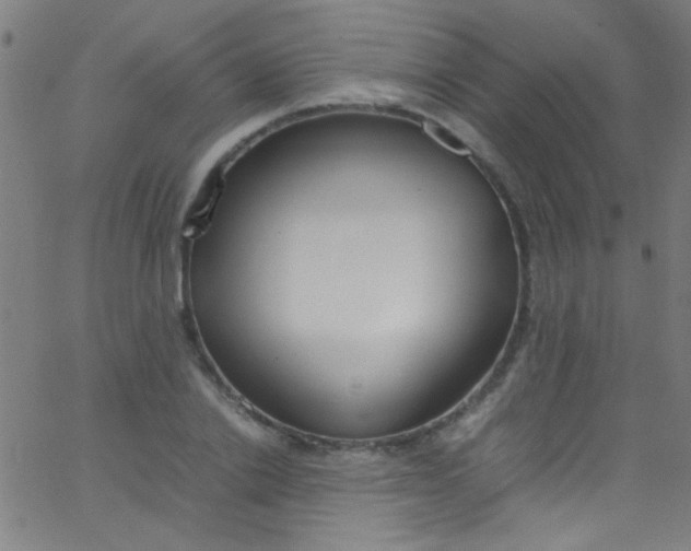 X0000067950838200604272057