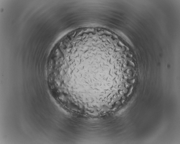 X0000067950839200604272057