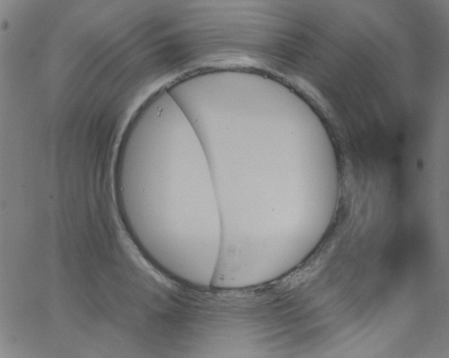 X0000067950840200604272057