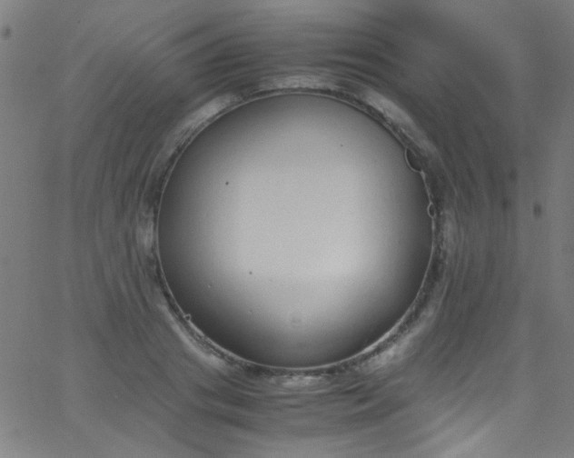 X0000067950841200604272057