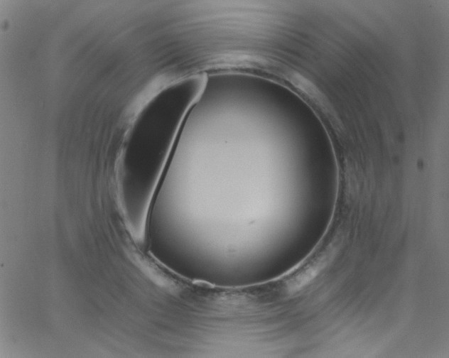 X0000067950842200604272057