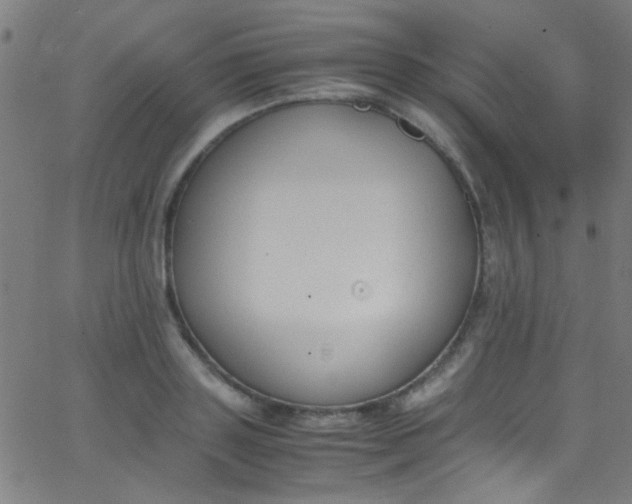 X0000067950843200604272057