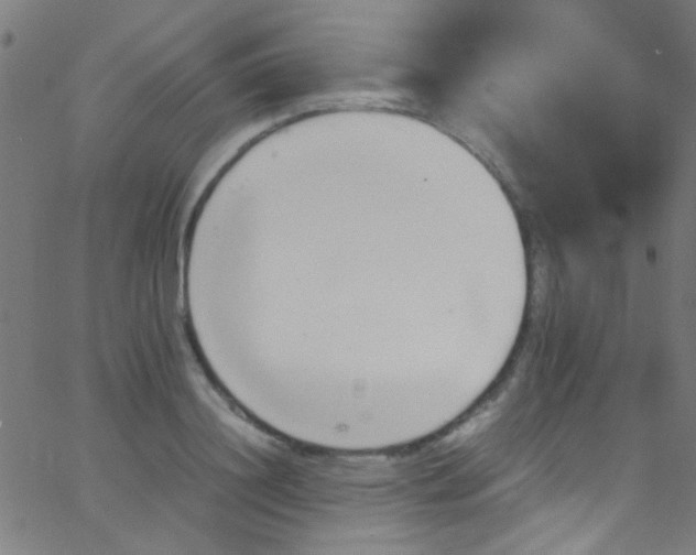 X0000067950844200604272057