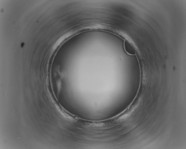 X0000067950845200604272057