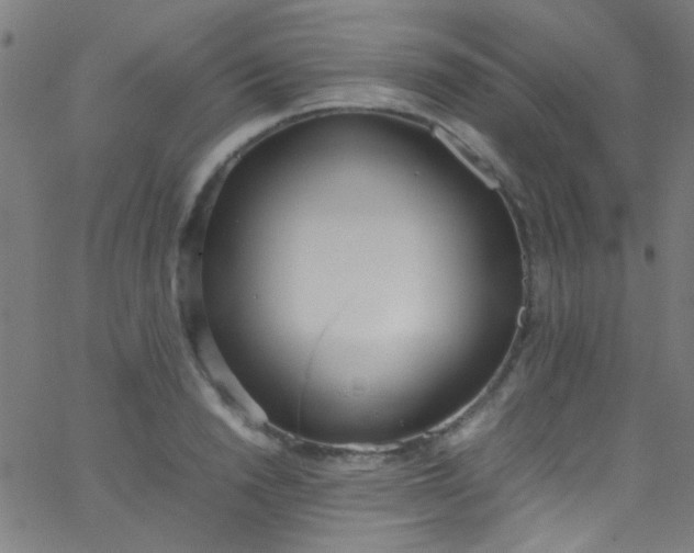 X0000067950846200604272057