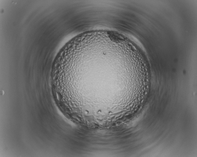 X0000067950847200604272057