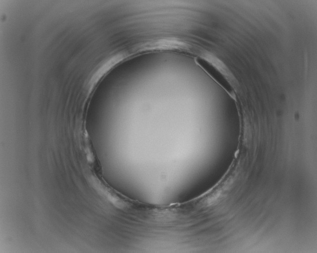 X0000067950850200604272057