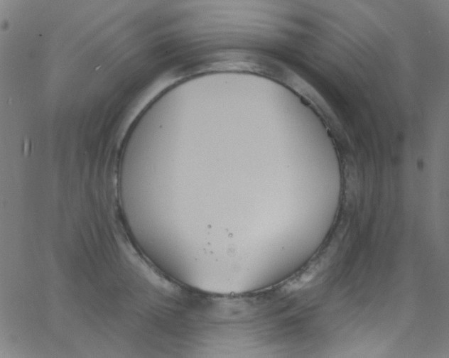 X0000067950852200604272057