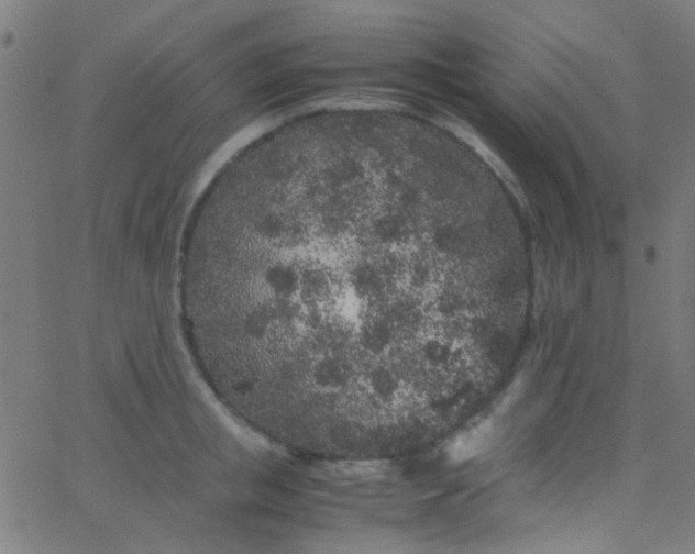 X0000067950853200604272057