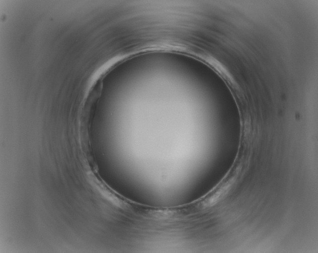 X0000067950854200604272057