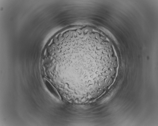 X0000067950855200604272057