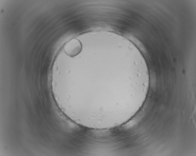 X0000067950856200604272057