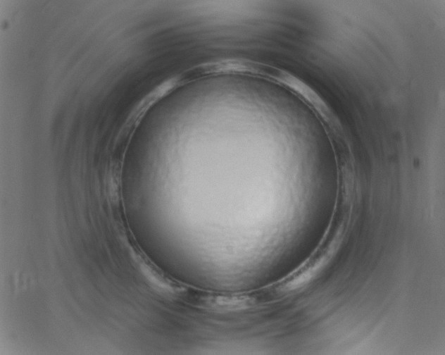 X0000067950857200604272057