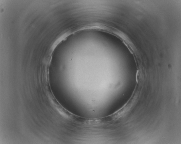 X0000067950858200604272057