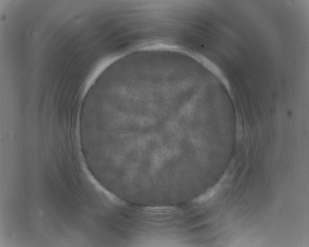 X0000067950863200604272058