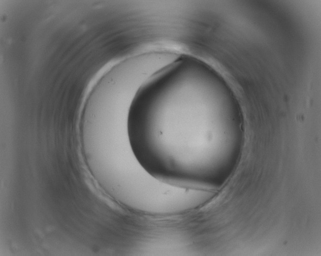 X0000067950864200604272058