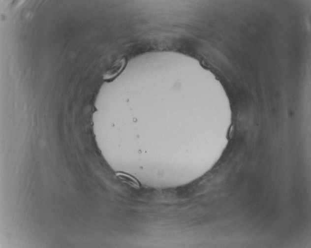 X0000067950865200604272057