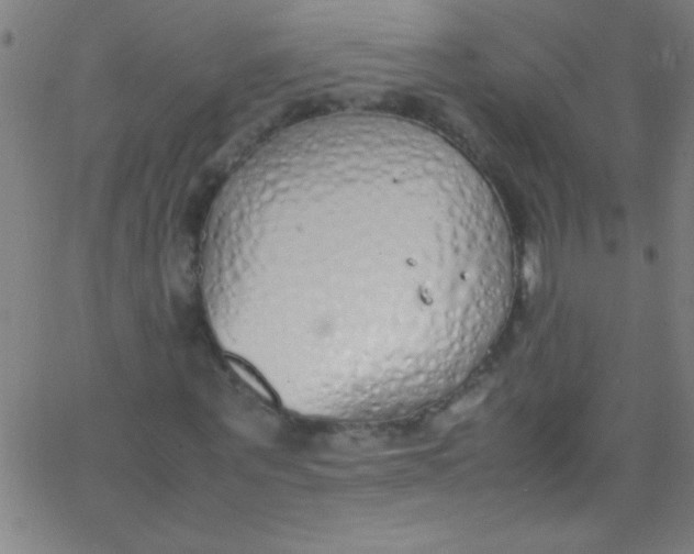 X0000067950867200604272057