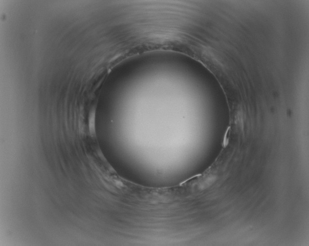 X0000067950868200604272057